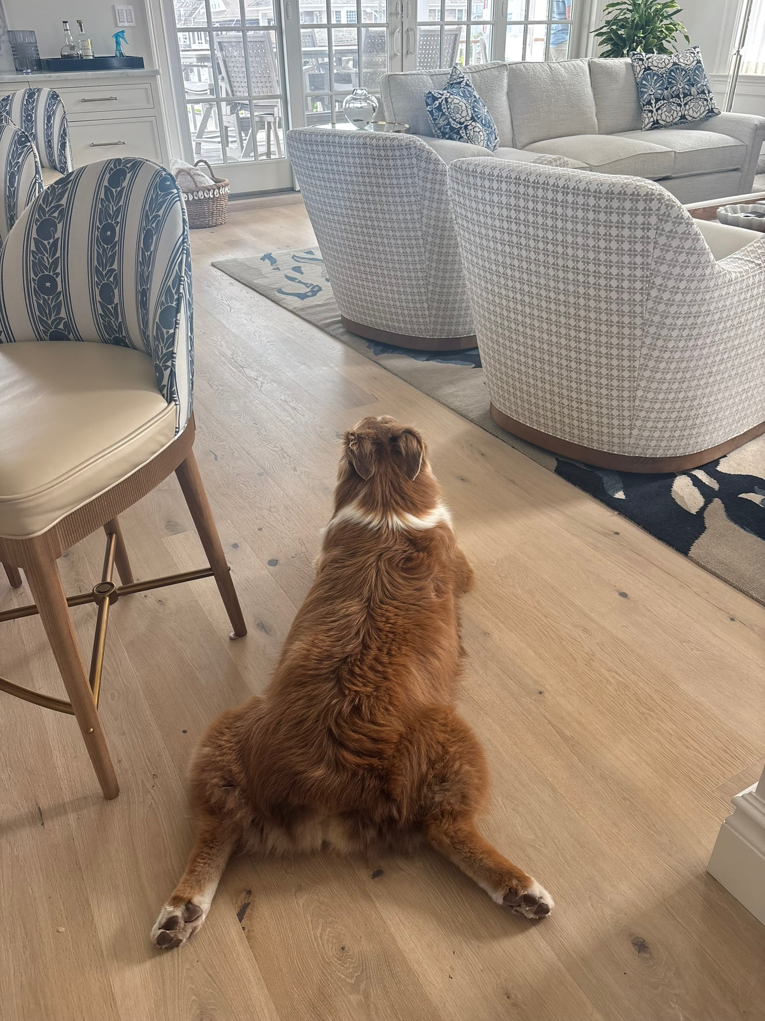 Cafe Curtains Give Privacy